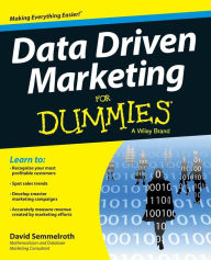 Title: Data Driven Marketing For Dummies, Author: David Semmelroth