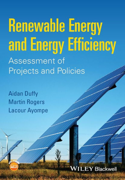 Renewable Energy and Energy Efficiency: Assessment of Projects and Policies / Edition 1