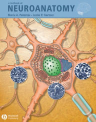 Title: A Textbook of Neuroanatomy, Author: Maria A. Patestas