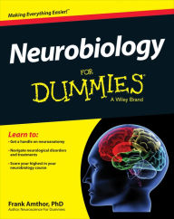 Title: Neurobiology For Dummies, Author: Frank Amthor