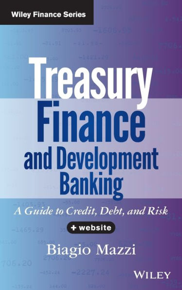 Treasury Finance and Development Banking, + Website: A Guide to Credit, Debt, and Risk / Edition 1