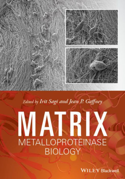 Matrix Metalloproteinase Biology / Edition 1