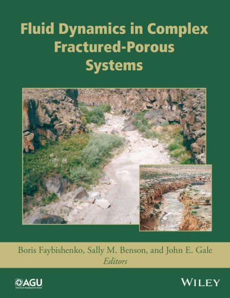 Fluid Dynamics in Complex Fractured-Porous Systems / Edition 1