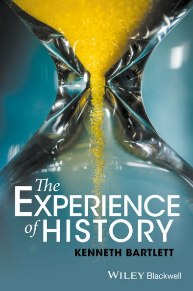 The Experience of History / Edition 1