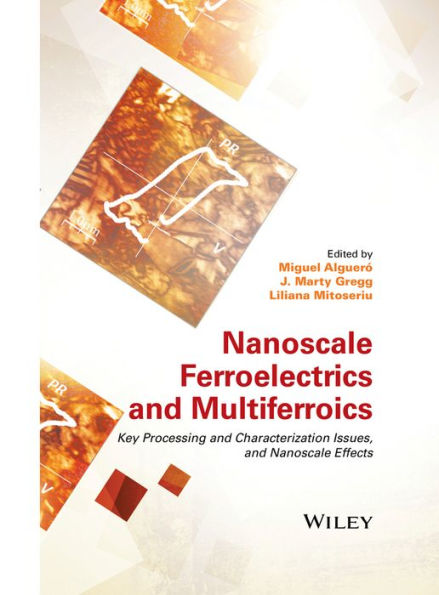 Nanoscale Ferroelectrics and Multiferroics: Key Processing and Characterization Issues, and Nanoscale Effects, 2 Volumes / Edition 1