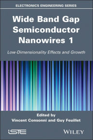 Title: Wide Band Gap Semiconductor Nanowires 1: Low-Dimensionality Effects and Growth, Author: Vincent Consonni