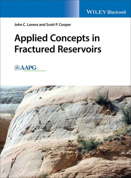 Applied Concepts in Fractured Reservoirs / Edition 1