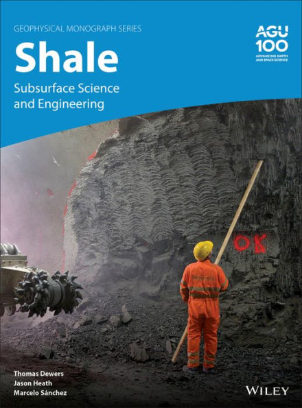 Shale: Subsurface Science and Engineering / Edition 1