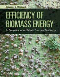 Title: Efficiency of Biomass Energy: An Exergy Approach to Biofuels, Power, and Biorefineries, Author: Krzysztof J. Ptasinski