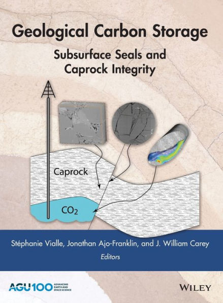 Geological Carbon Storage: Subsurface Seals and Caprock Integrity / Edition 1