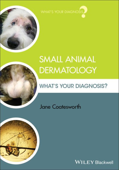 Small Animal Dermatology: What's Your Diagnosis? / Edition 1
