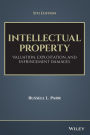 Intellectual Property: Valuation, Exploitation, and Infringement Damages / Edition 5