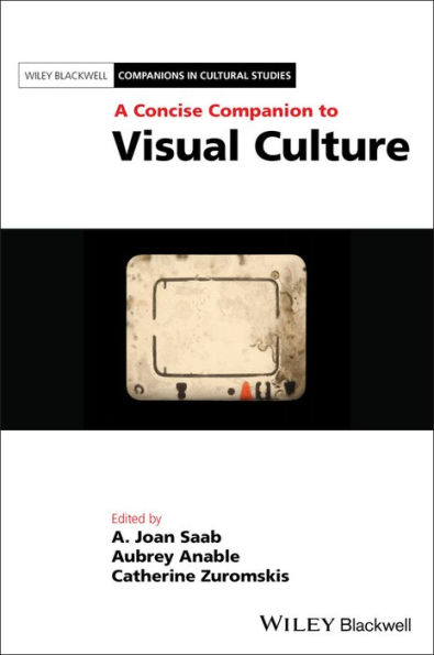 A Concise Companion to Visual Culture