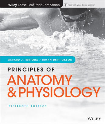 Principles Of Anatomy And Physiology Edition 15 By Gerard J Tortora Bryan H Derrickson Other Format Barnes Noble