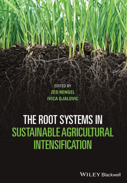 The Root Systems Sustainable Agricultural Intensification