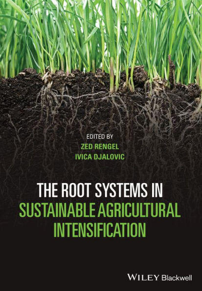 The Root Systems in Sustainable Agricultural Intensification