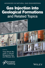 Title: Gas Injection into Geological Formations and Related Topics / Edition 1, Author: Alice Wu