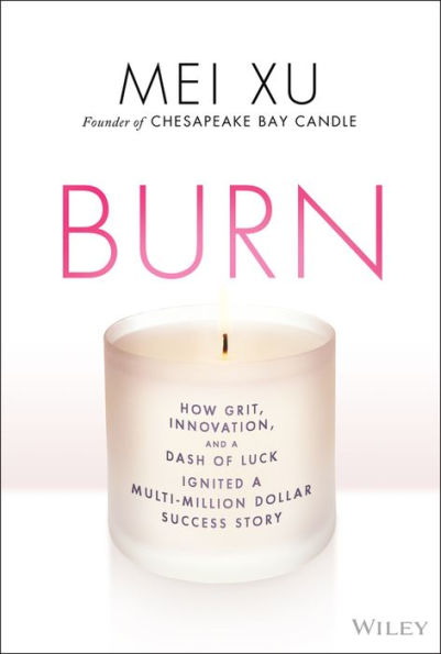 Burn: How Grit, Innovation, and a Dash of Luck Ignited Multi-Million Dollar Success Story