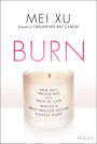 Burn: How Grit, Innovation, and a Dash of Luck Ignited a Multi-Million Dollar Success Story