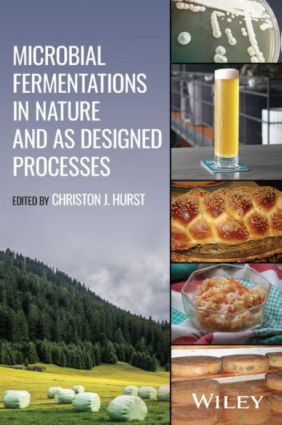 Microbial Fermentations Nature and as Designed Processes