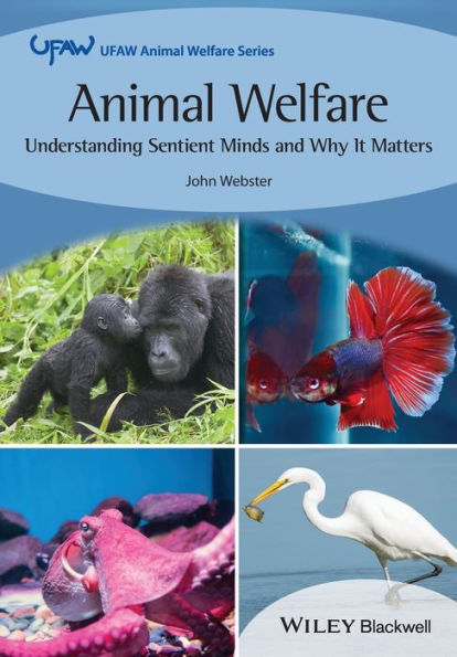 Animal Welfare: Understanding Sentient Minds and Why It Matters