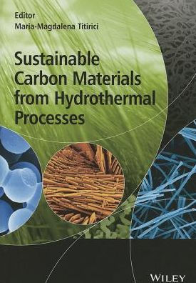 Sustainable Carbon Materials from Hydrothermal Processes / Edition 1