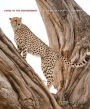 Living in the Environment / Edition 18