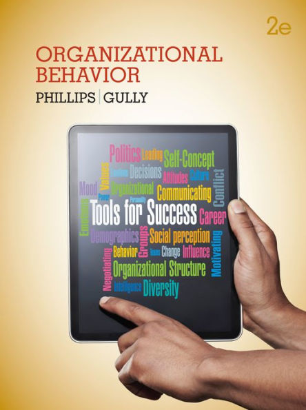 Organizational Behavior: Tools for Success / Edition 2