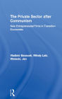 The Private Sector after Communism: New Entrepreneurial Firms in Transition Economies