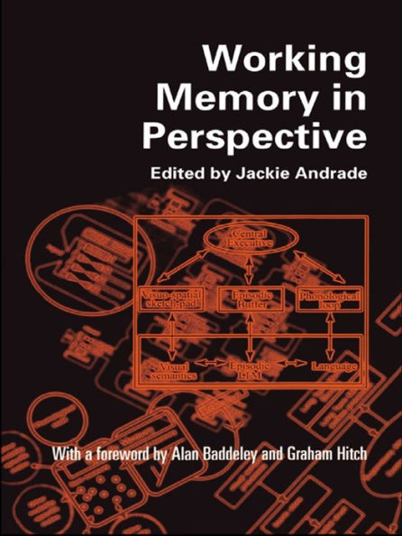 Working Memory in Perspective