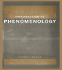 Introduction to Phenomenology