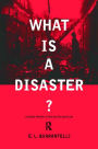 What is a Disaster?: A Dozen Perspectives on the Question