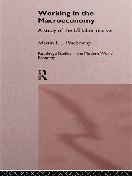 Working in the Macro Economy: A study of the US Labor Market