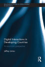 Digital Interactions in Developing Countries: An Economic Perspective