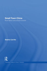 Title: Small Town China: Rural Labour and Social Inclusion, Author: Beatriz Carrillo Garcia