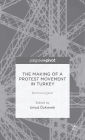 The Making of a Protest Movement in Turkey: #occupygezi