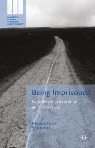 Title: Being Imprisoned: Punishment, Adaptation and Desistance, Author: M. Schinkel