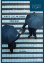 White Collar Crime and Risk: Financial Crime, Corruption and the Financial Crisis