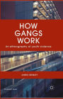 How Gangs Work: An Ethnography of Youth Violence