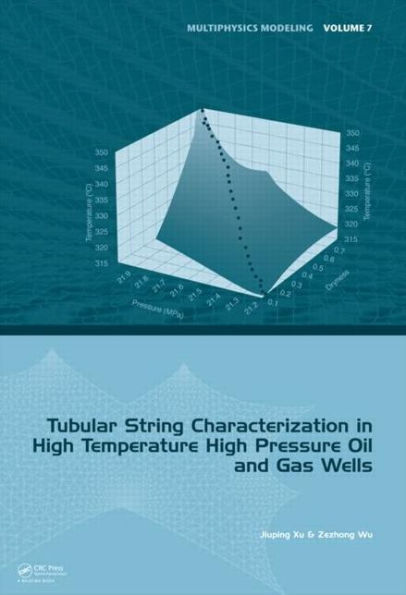 Tubular String Characterization in High Temperature High Pressure Oil and Gas Wells / Edition 1