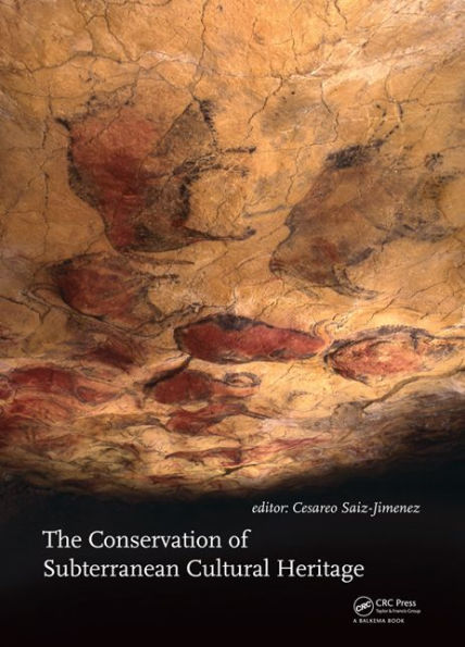 The Conservation of Subterranean Cultural Heritage / Edition 1
