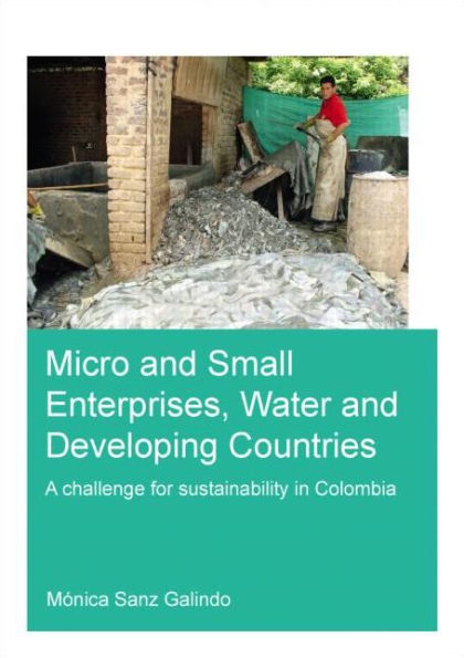 Micro and Small Enterprises, Water and Developing Countries: A Challenge for Sustainability in Colombia / Edition 1