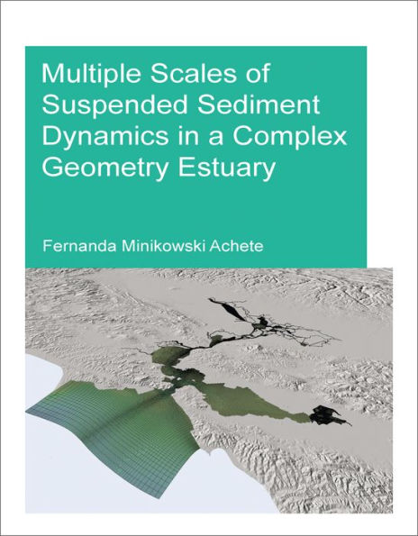 Multiple Scales of Suspended Sediment Dynamics a Complex Geometry Estuary