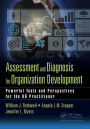 Assessment and Diagnosis for Organization Development: Powerful Tools and Perspectives for the OD Practitioner / Edition 1