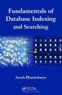Fundamentals of Database Indexing and Searching / Edition 1
