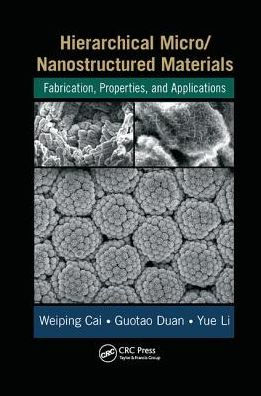 Hierarchical Micro/Nanostructured Materials: Fabrication, Properties, and Applications / Edition 1