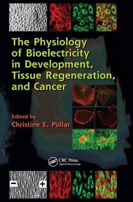 The Physiology of Bioelectricity in Development, Tissue Regeneration and Cancer / Edition 1