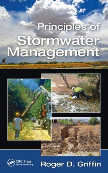 Principles of Stormwater Management / Edition 1