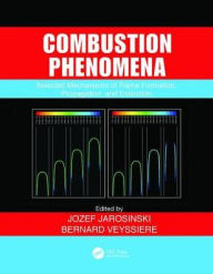 Title: Combustion Phenomena: Selected Mechanisms of Flame Formation, Propagation and Extinction / Edition 1, Author: Jozef Jarosinski