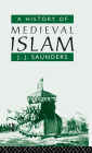 A History of Medieval Islam / Edition 1